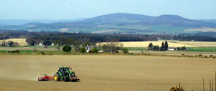 Rolling Cereals at Whitehouse