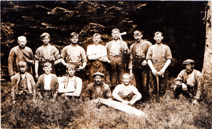 A group of Foresters