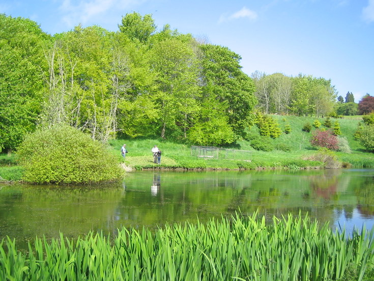 Flyfishing Tutorial on River Don Open Day 