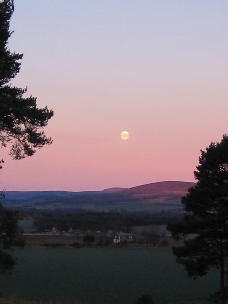 Early morning and a setting moon