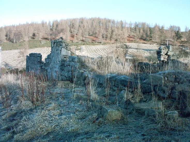 Ruined croft with Kist Hill in the background