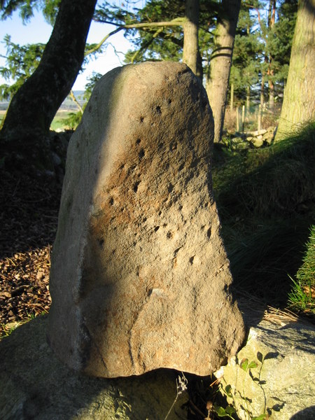 Prehistoric cup marked stone.