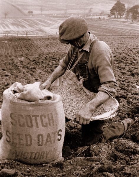 Fresh seed for the sower