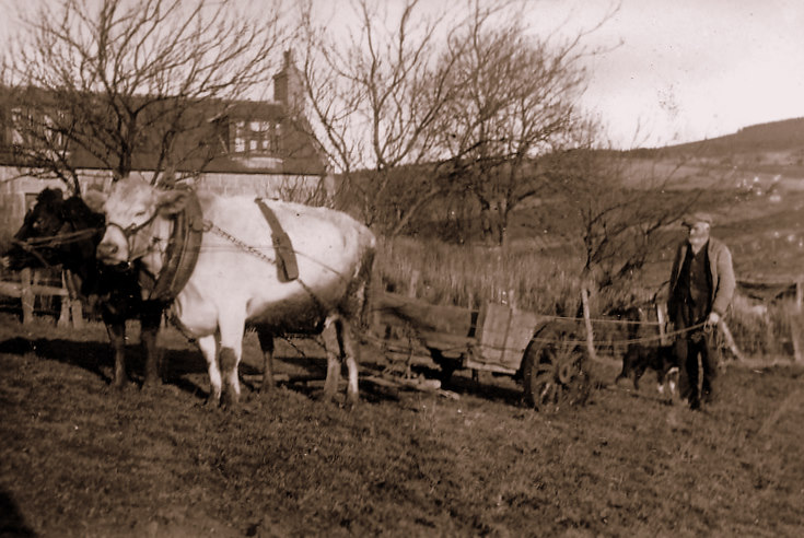 Willie Duguid, Meikleton Croft, Tullynessle