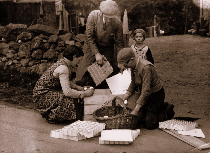 Packing the Eggs for Market