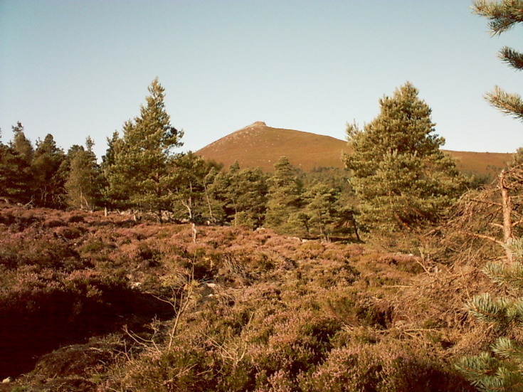 Bennachie from near Muirtown