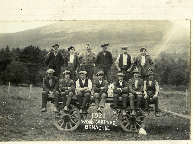 Bennachie Wood Carters