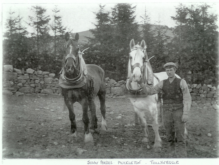 Muckleton, Tullynessle