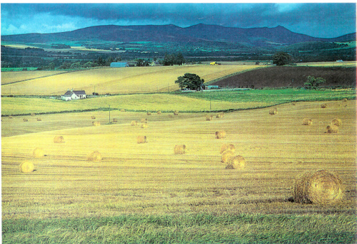 Bennachie across the Howe of Alford