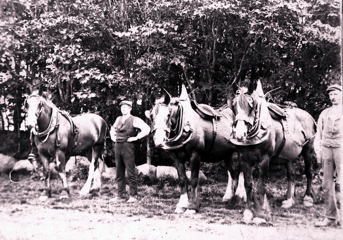 unknown location near Alford