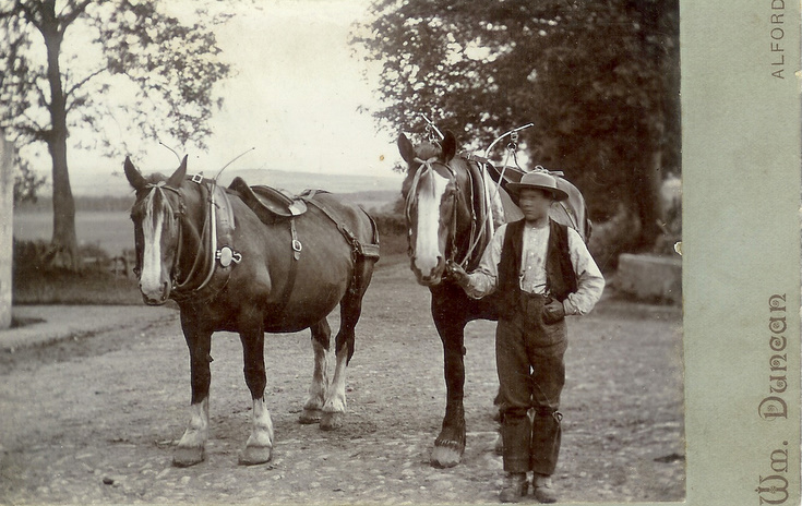 Young groom and charges