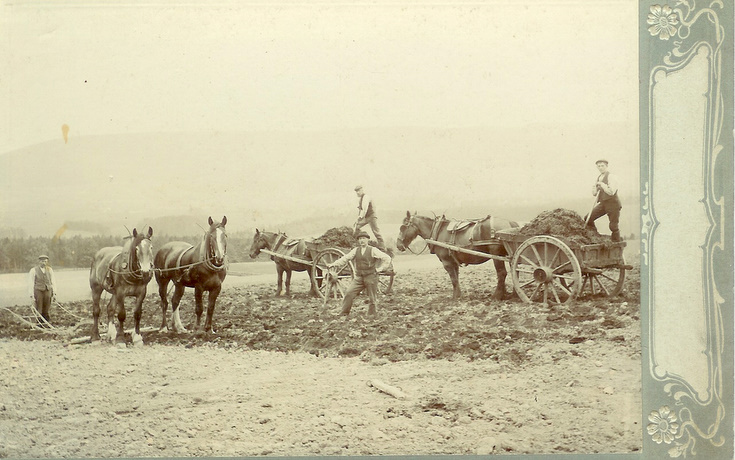 Muck spreading and ploughing near Alford