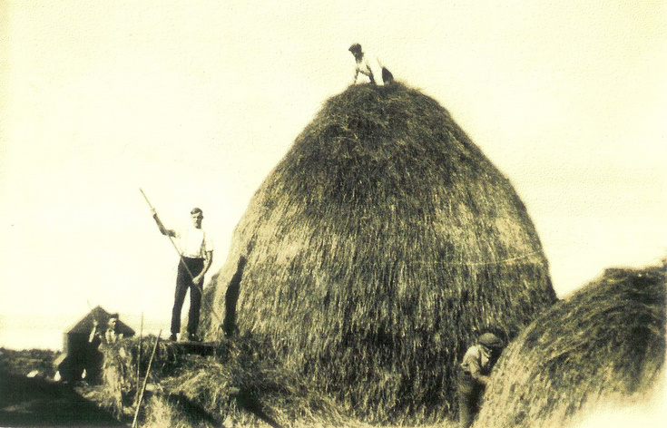 Building a stook near Alford