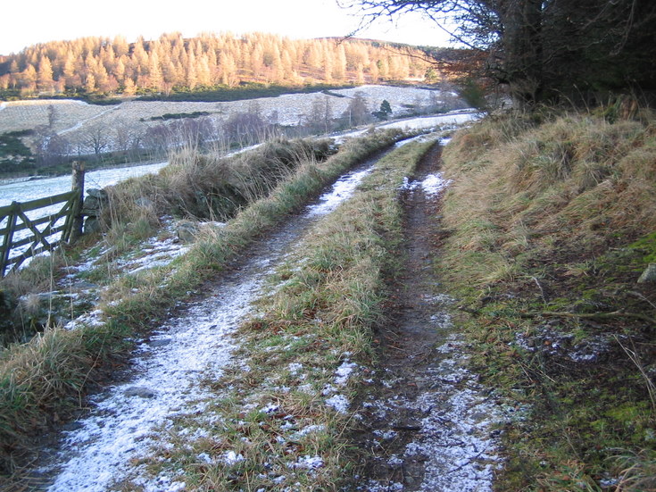 Kist Hill from Whitehouse Estate farm track