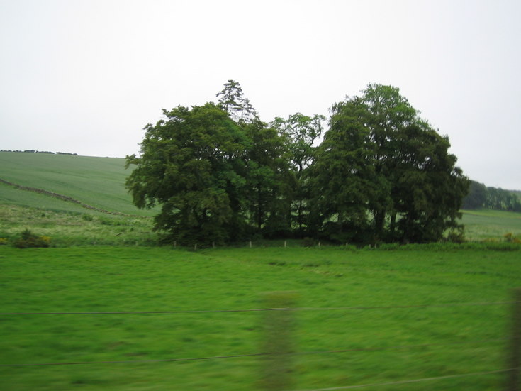 Interesting triangular plot with trees.