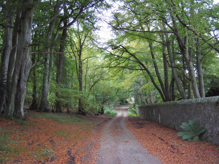 Farmtrack on Whitehouse Estate