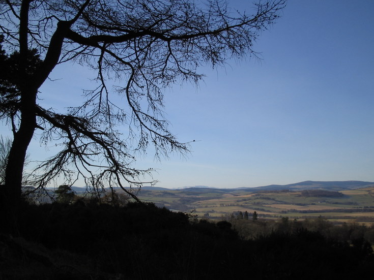 Lochnaggar and Pressendye  from Whitehouse Estate