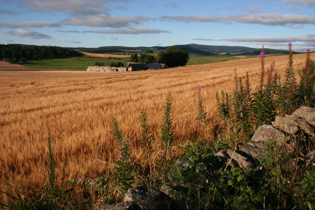 Cairnballoch