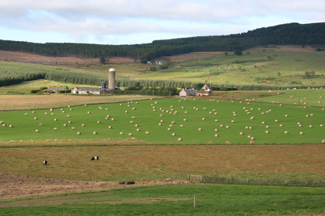 Confunderland from Wark Farm