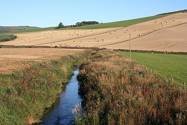 Leochel Burn at Muir of Fowlis