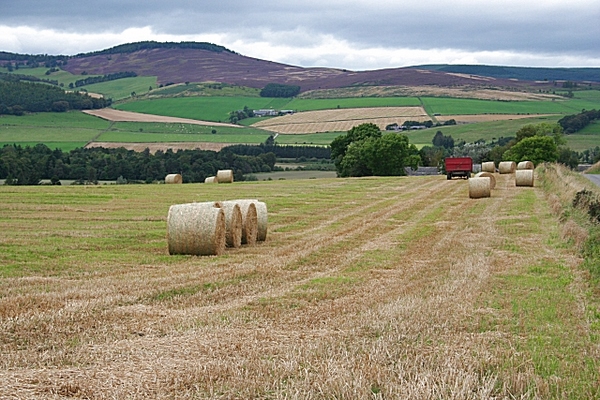 Wellhouse, Alford