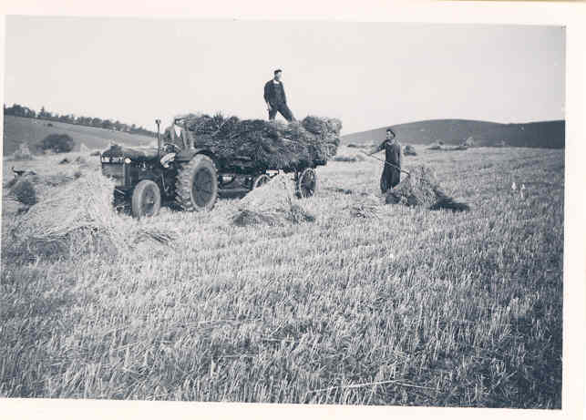 Shannoch Farm