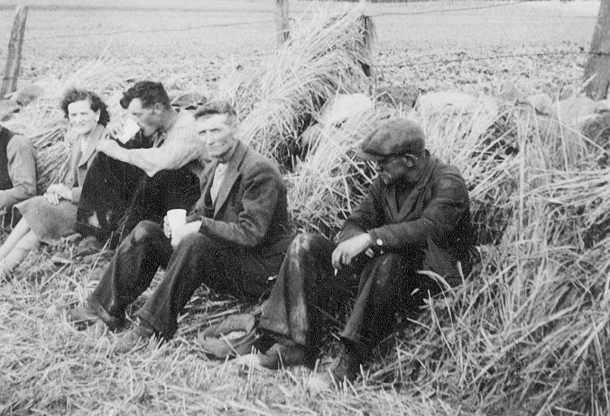 A fly cup at Shannoch Farm