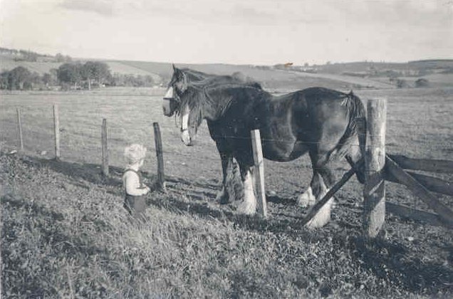 Admiring the work horses at Shannoch