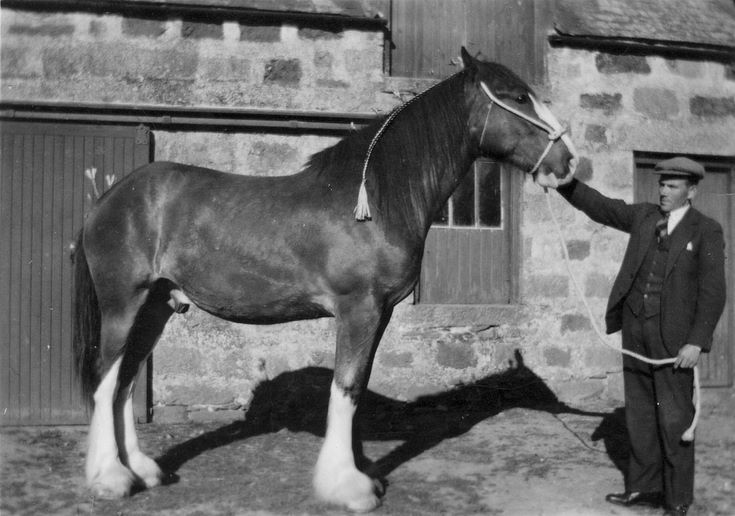 Gordon Reid at Shannoch Farm