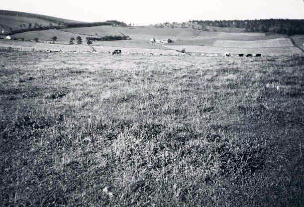 Shannoch Farm, Breda