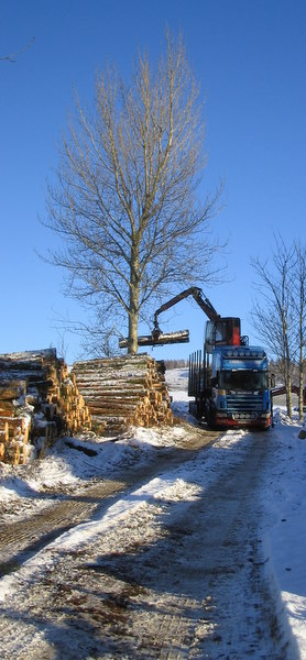 Forestry Operations on the Forbes Estate