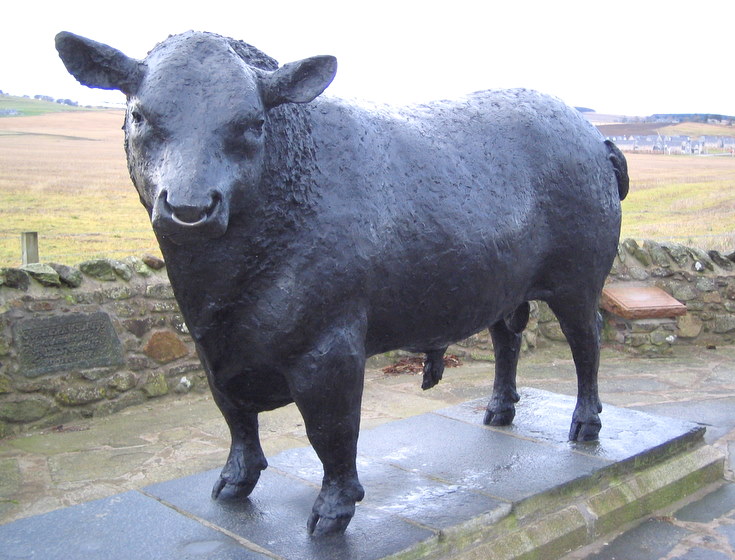 The Alford Bull