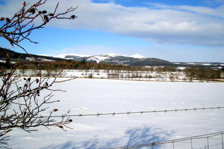 Bennachie from near Monymusk