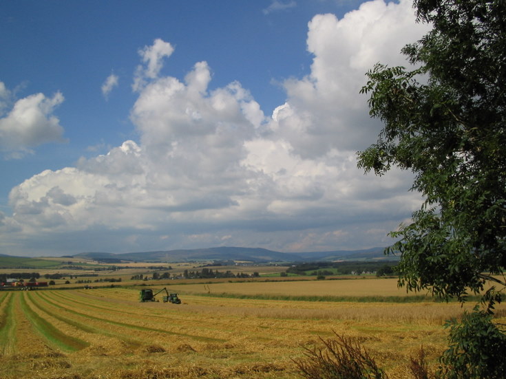 Harvest at Whitehouse