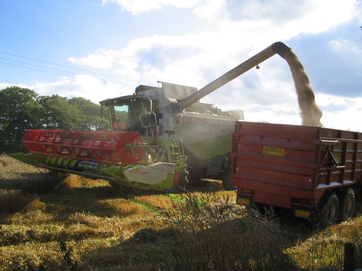 Harvest at Whitehouse