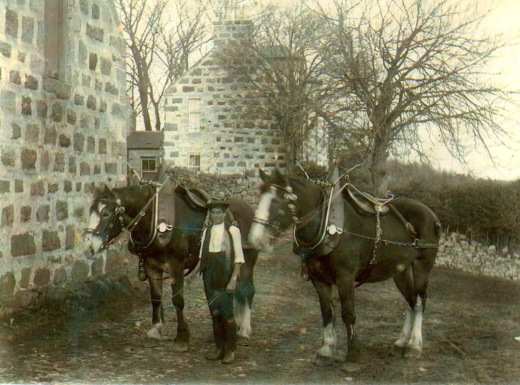 Robert Dunn at West Eninteer Farm, Muir of Fowlis