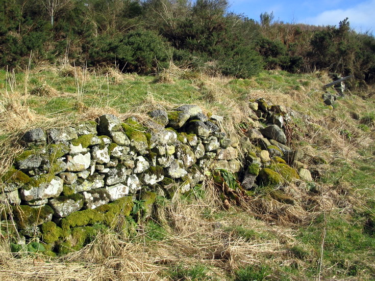 Remains of Croft at Denburn, Whitehouse.