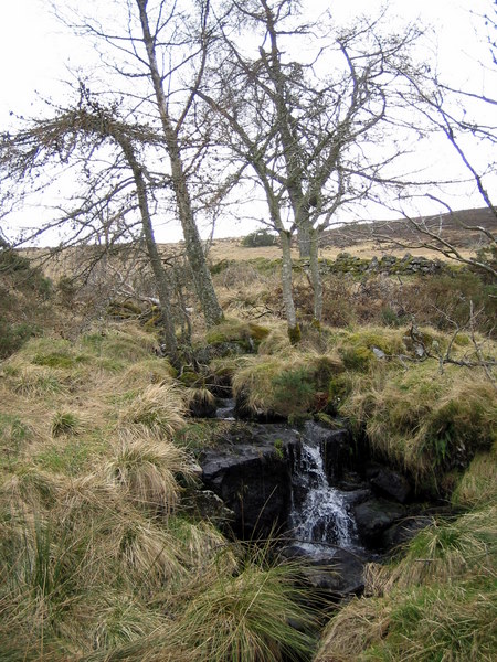 Waterfall in the Denburn descending from Kingsmoss