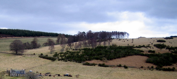Borrowstone near Dorsell Farm, Muir of Fowlis