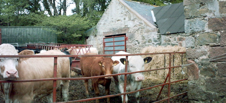 The Former Occupants at West Eninteer Steadings