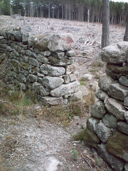 Neat Drystone Dyke at Bennachie