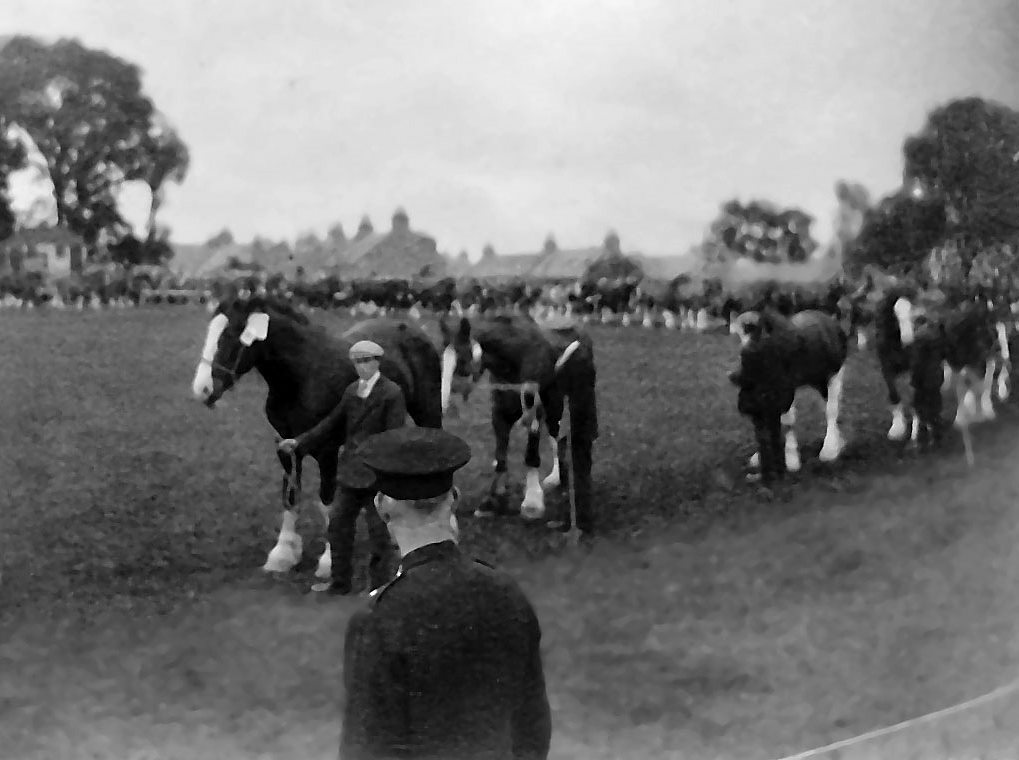 Parade of Work Horses at the Alford Show