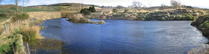 Pond near Cattie, Whitehouse