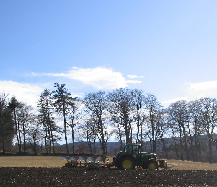 Spring Ploughing