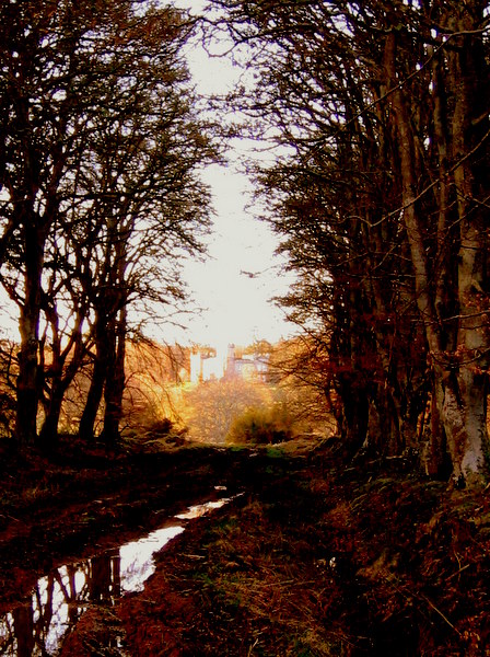 Castle Forbes, Keig