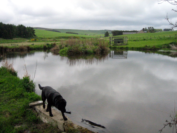 Mill Pond at Craigievar