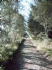 The Old Aberdeen Road at the foot of Bennachie