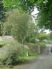 Rowan Tree and Commemorative Plaque at Tough kirk