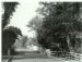 The bridge in Monymusk village