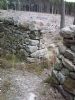 Neat Drystone Dyke at Bennachie